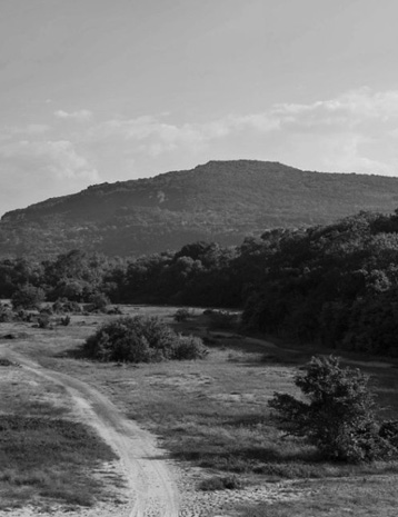 photo de la montagne bulgare, source d'inspiration de Nero men