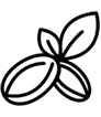pictograme beurre de karite