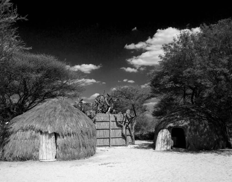 village de l'Afrique de l'Ouest Korhogo, producteur de beurre de karité et ses bienfaits